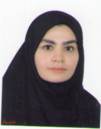 شراره مهدیزاده مومن