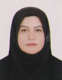 مهدیه سلاجقه تذرجی