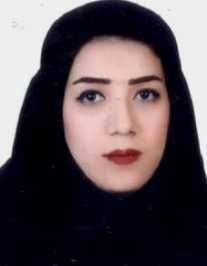 الهام عابدی دیزناب