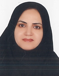 مژگان سلیمانی تقی آبادی