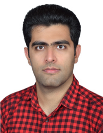 حامد کمالی دولت آبادی