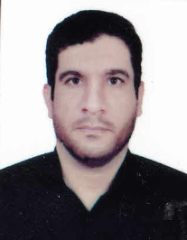 رضا انسیان