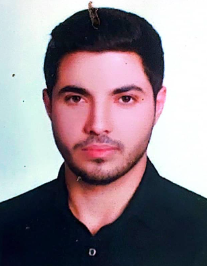 رضا داودی