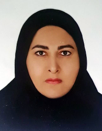 رویا رجائی