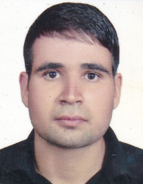 علی جوادی