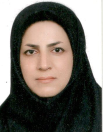 سیده مهرسا حسینی