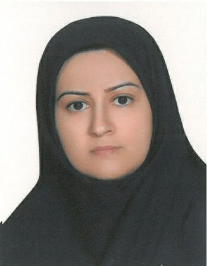 مرضیه فیضی