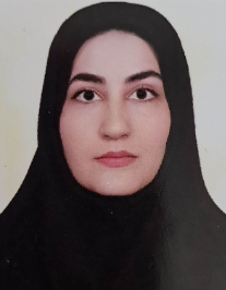پریسا محمودی مقدم