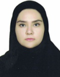 مهسا بیدلی نامنی