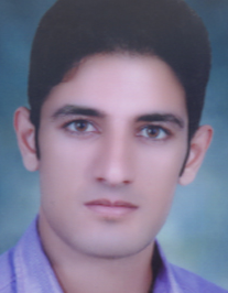 آرمان سلیمی کوچی