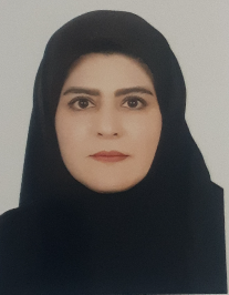 مریم سلطانی نژاد