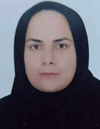 زینت بیدکی