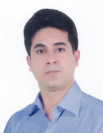 وحید مردی
