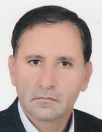 حمید سلطانی نژاد