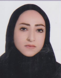 هاوژین صالحی