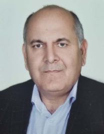 وکیل نظری