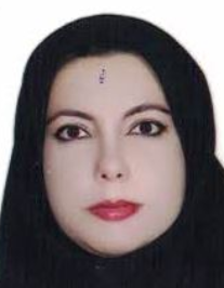 سیده مینا حسینی رازلیقی