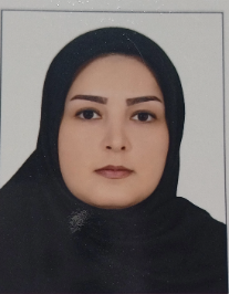 سیده صدیقه حسینی