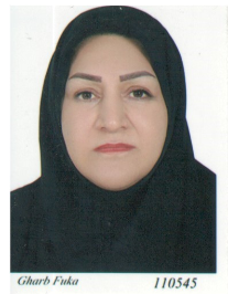 مهری سلیمانی