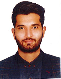 محمد حسن صدفی