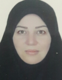 سیدحکیمه صفوی میرمحله