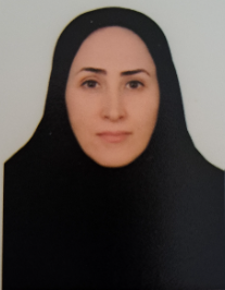 شیوا نجفی لنبر