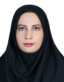 حکمیه حاجی زاده استبرقی