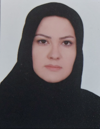 مریم ولدخانی