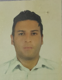 مجتبی منصورروستا