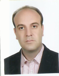 سید مجتبی مأوایی