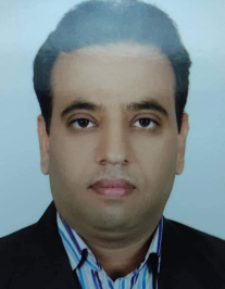 محمد مجتبی رئیسی