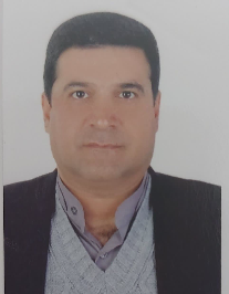سید عطا اولیا