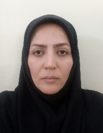 نرگس موسوی نوری