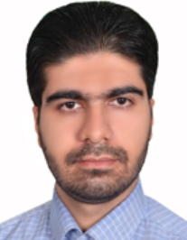 سید احسان افشاری زاده