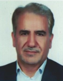 محمد سلگی