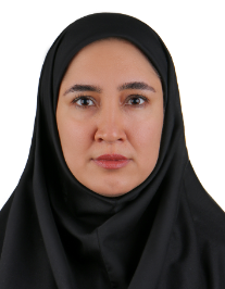 وحیده خواجه میرزا