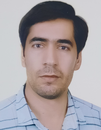 سید حسن بامیانی