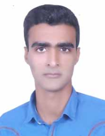 علی دلفی