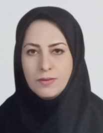 ارینب آقابابایی