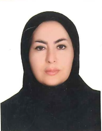 الهه بیگ زاده شهرکی