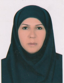 مهناز حسینی