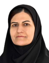 فیروزه ناوندی شیراز