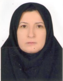 همای طاهرلو