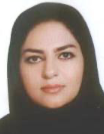 حدیث محمودابادی