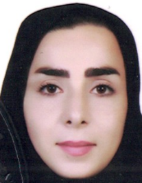 مریم آریان فر