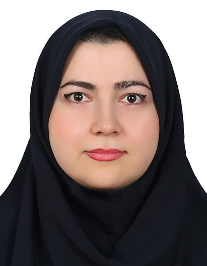 مهلا مرتاض پور