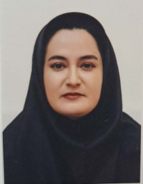مهناز قادری