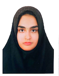 مینا روحی بنیاد