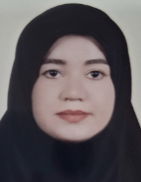 پریسا خان بیگی