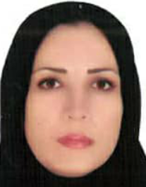 شهلا شیخی نصب